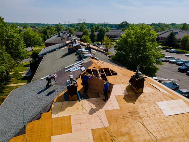 Quick and Trustworthy Emergency Roof Repair Services in Roma, TX
