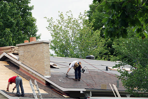 Gutter Installation and Roofing in Roma, TX