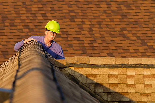 Best Roof Gutter Cleaning  in Roma, TX